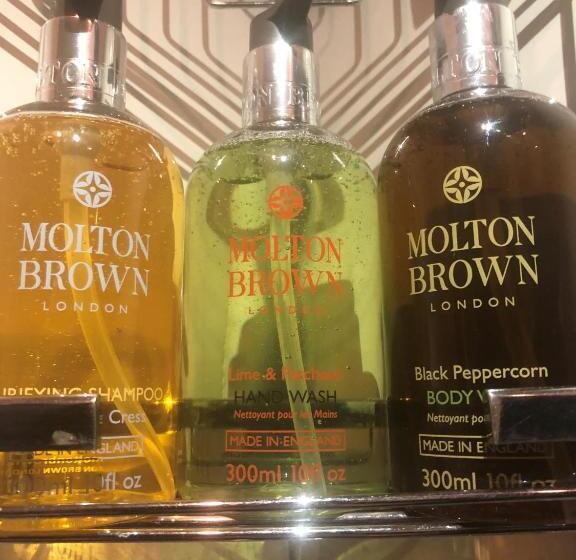 اتاق اجرایی سه نفره, 1866 Court & Suites