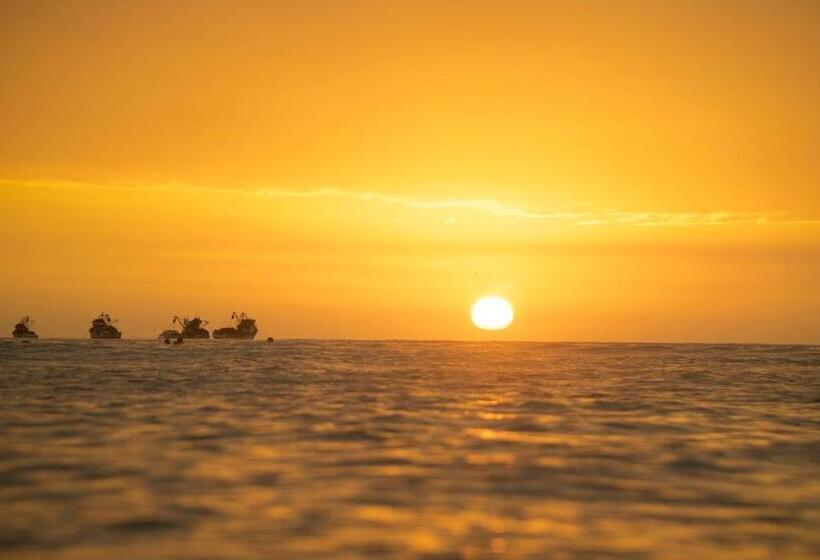 חדר סטנדרט, Don Giovanni Mancora