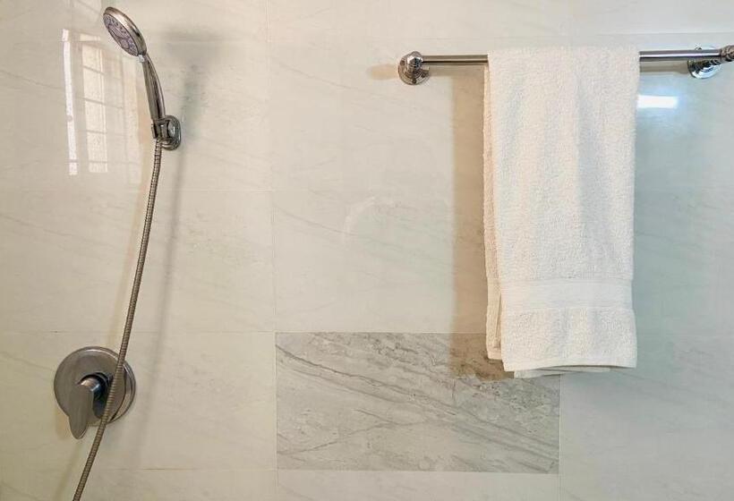 اتاق استاندارد با تخت بزرگ, Garden Residents Uttara Lake View