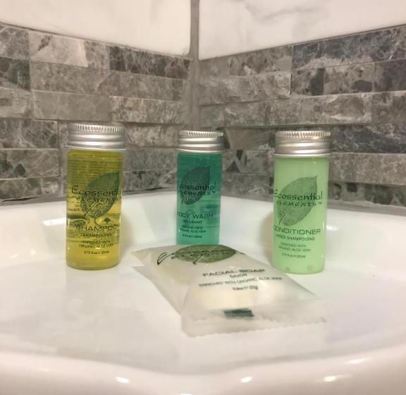 חדר דחוקס עם מיטת קינג, Sutter