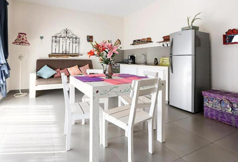 آپارتمان 1 خوابه اینتریور, Xscapetulum