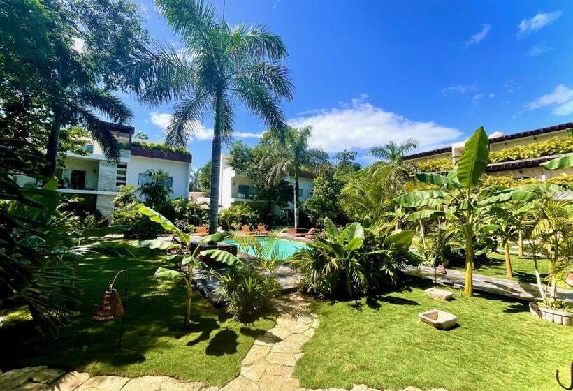 آپارتمان 1 خوابه اینتریور, Xscapetulum