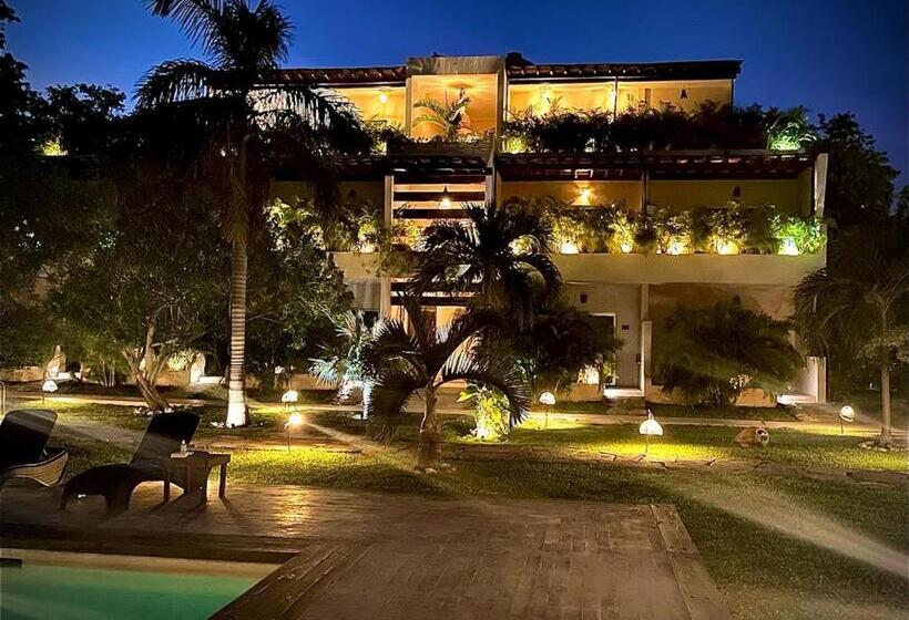 バルコニー付プレミアムルーム, Xscapetulum