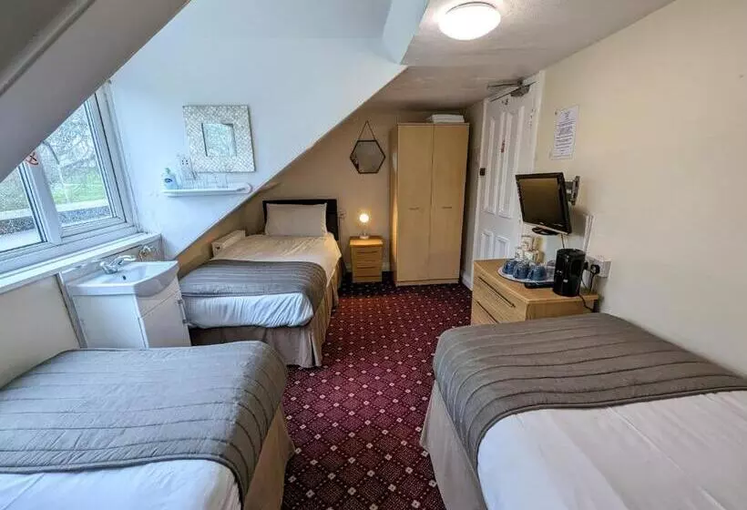 اتاق استاندارد سه تخته با سرویس بهداشتی مشترک, The George Guest House