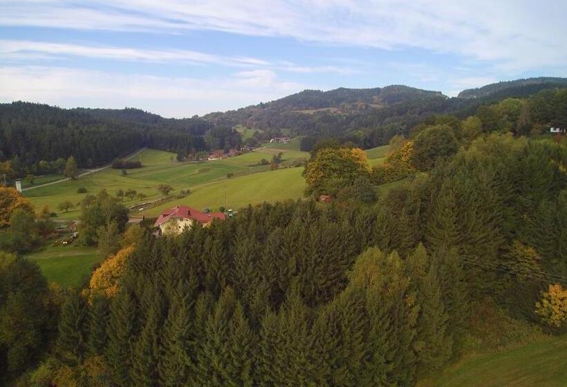 バルコニー付きスタンダードルーム, Bayerischer Wald