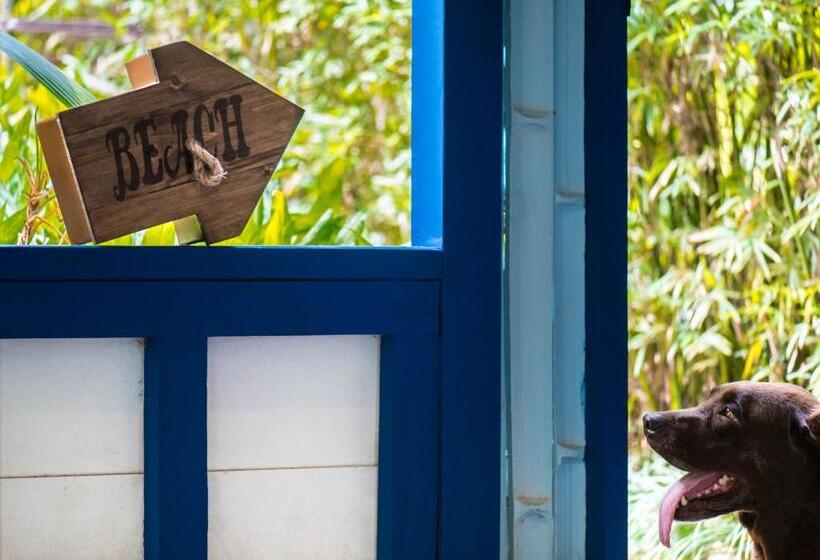 بانگلوی استاندارد, Blue Osa Beach Resort & Spa