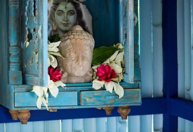 بانگلوی استاندارد, Blue Osa Beach Resort & Spa