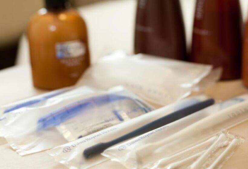 스탠다드 룸, Daiwa Roynet Hotel Chiba Ekimae