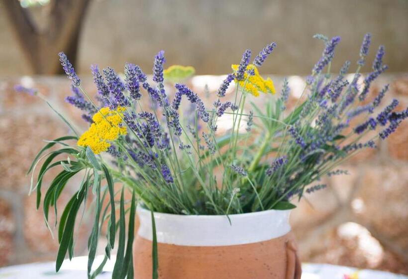 דירת חדר, Pansion Marjan