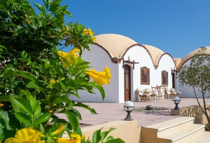 کلبه ییلاقی دلوکس یک خوابه, Wadi Lahami Village