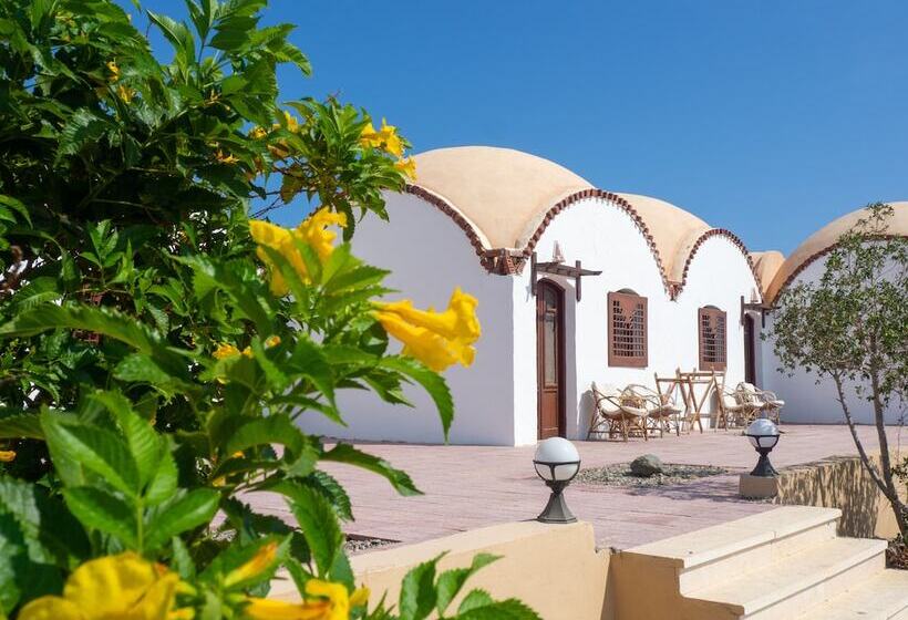 کلبه ییلاقی دلوکس یک خوابه, Wadi Lahami Village