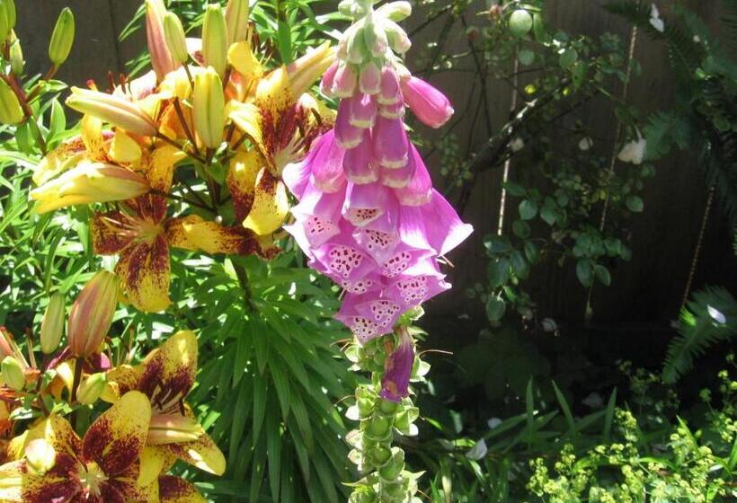 ２ベッドルームハウス, Ocean Resort