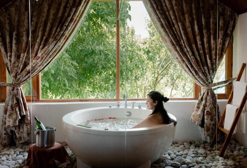 سوئیت لوکس با چشمانداز کوهستان, Larisa Resort Manali