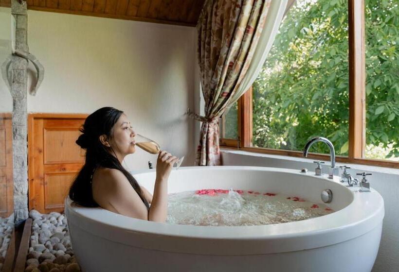 سوئیت لوکس با چشمانداز کوهستان, Larisa Resort Manali