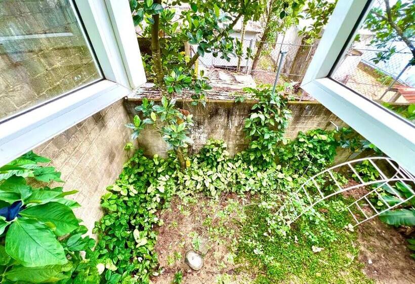 اتاق خانوادگی با چشمانداز باغ, Jolie Villa Hoi An