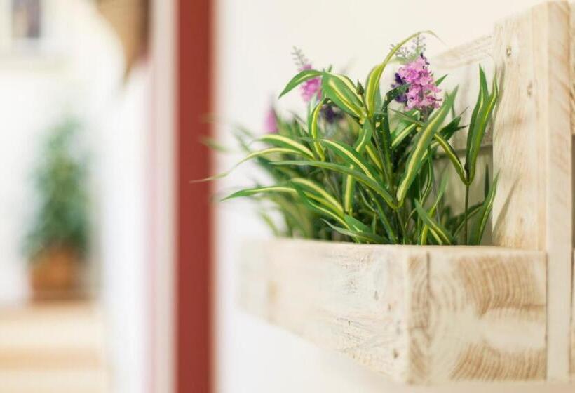 经济房, Trapani Home