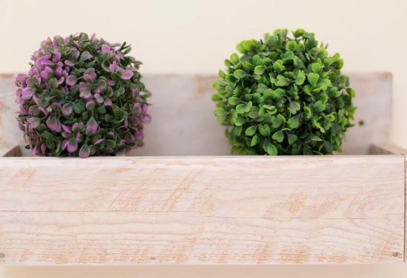 经济房, Trapani Home