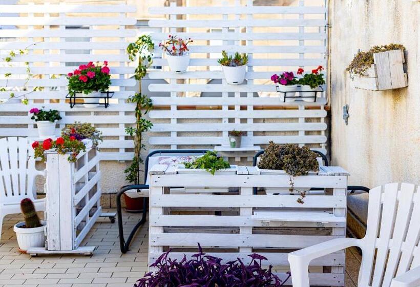 四人高级间, Trapani Home