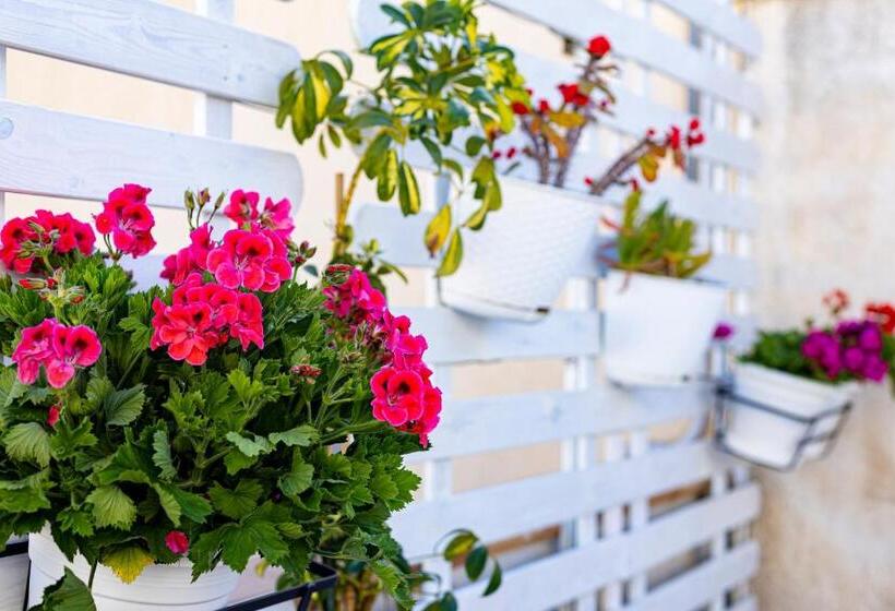 带1个卧室的公寓, Trapani Home