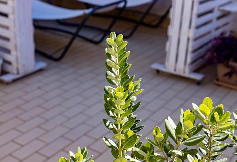 带2个卧室的公寓, Trapani Home