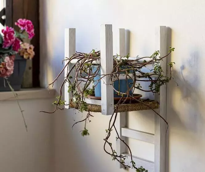 آپارتمان 1 خوابه, Trapani Home