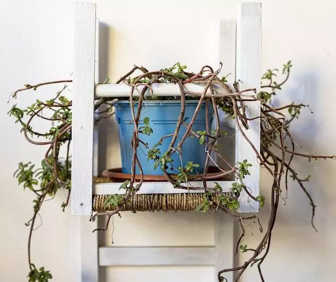 آپارتمان 1 خوابه, Trapani Home