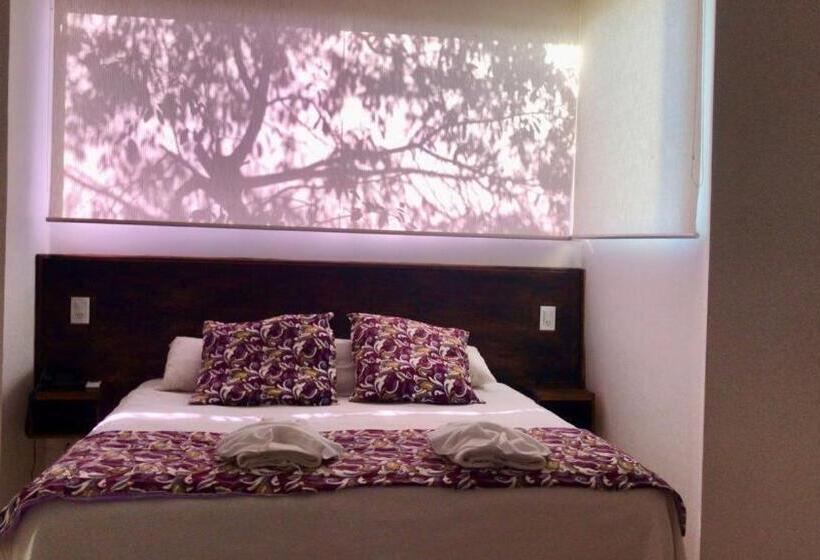 غرفة ديلوكس, Rainforest Hotel & Cabañas