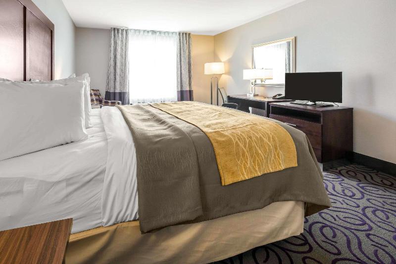 سرير فى غرفة مشتركه, Publove @ The Exmouth Arms, Euston