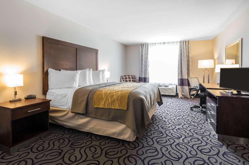 سرير فى غرفة مشتركه, Publove @ The Exmouth Arms, Euston