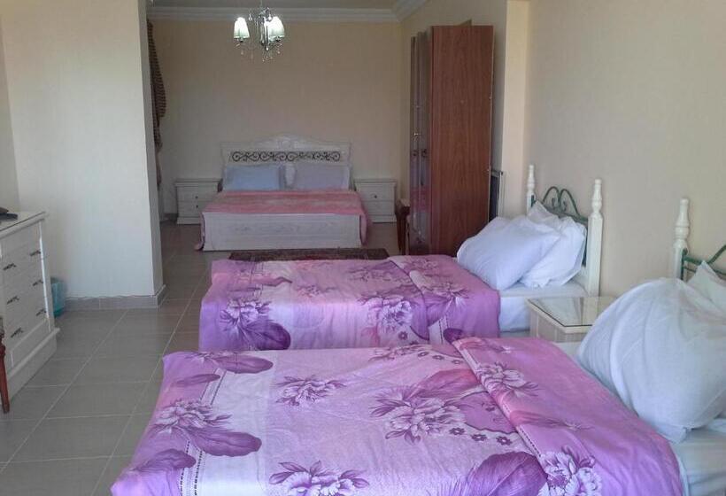 آپارتمان 1 خوابه, Alexander The Great