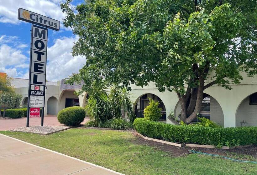 חדר משפחתי, Citrus Motel