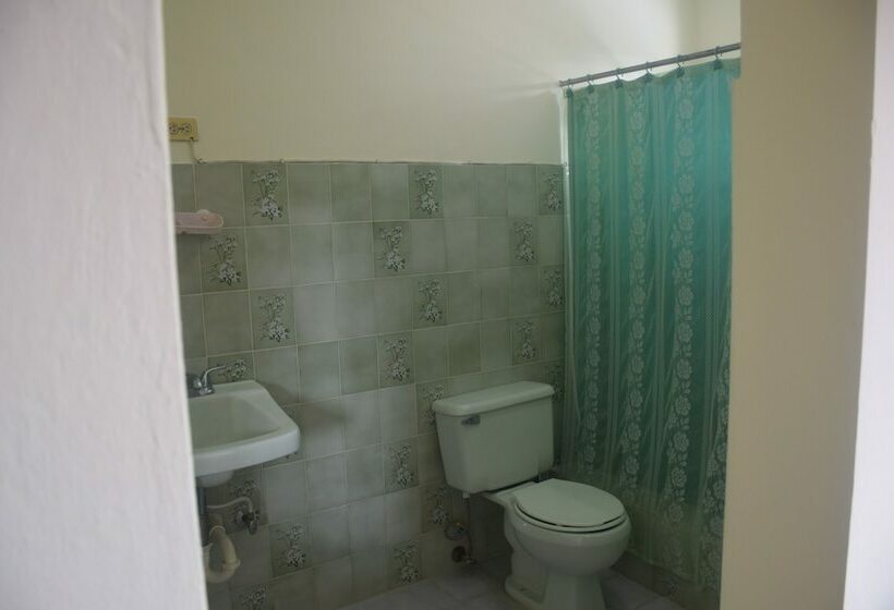 ویلای 4 خوابه, Farm Villa Estancia