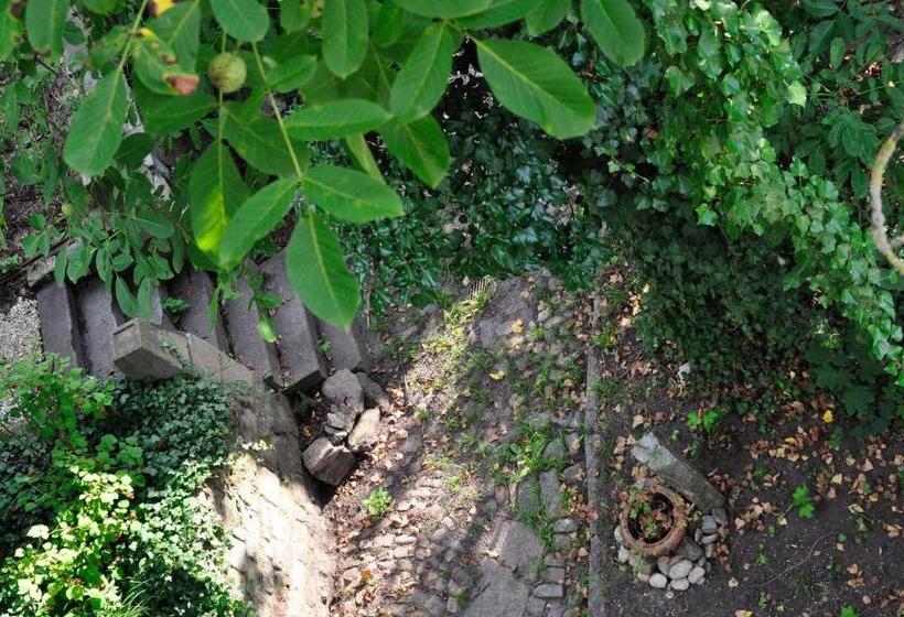 标准三人间共用浴室, Art Hotel & Hostel