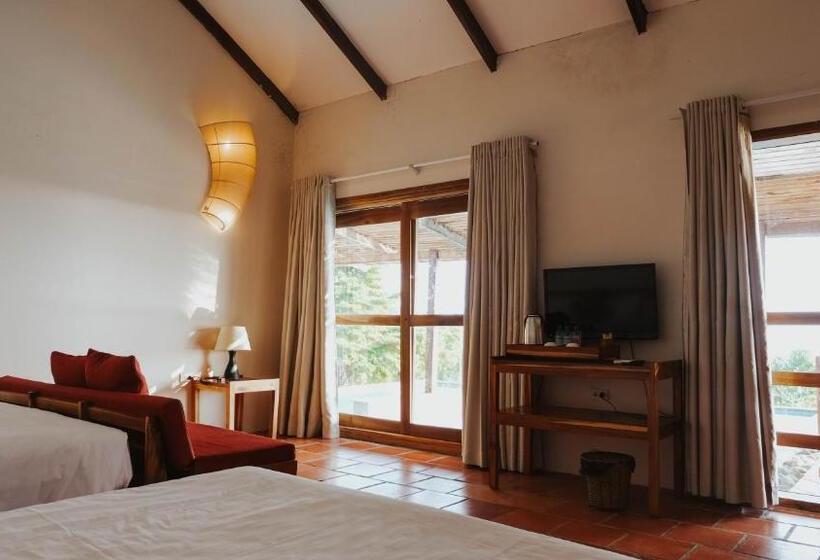 سوییت خانوادگی, Daisy Resort