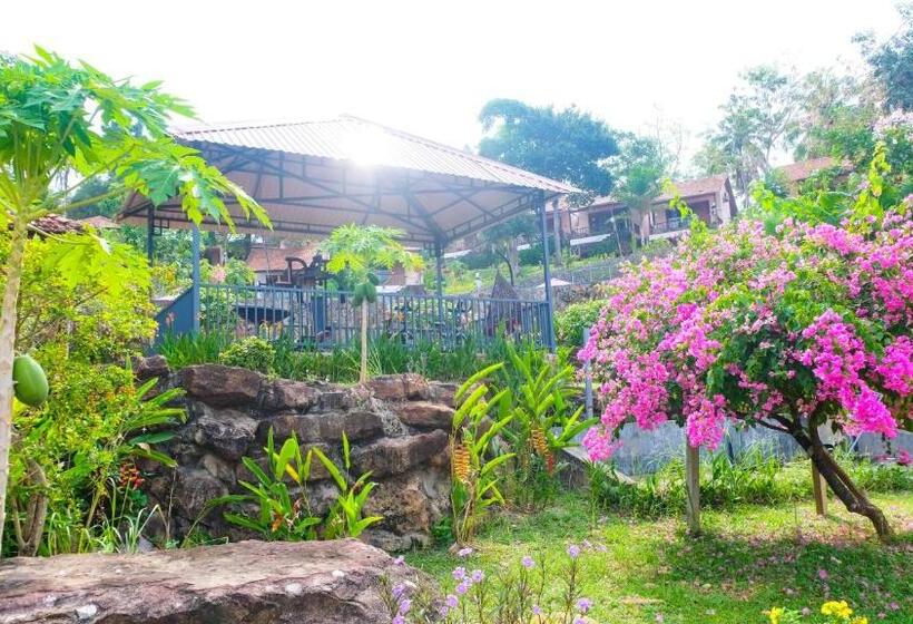 بنگله خانوادگی, Daisy Resort