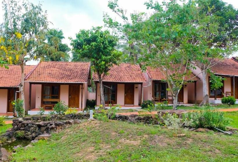 بنگله خانوادگی, Daisy Resort