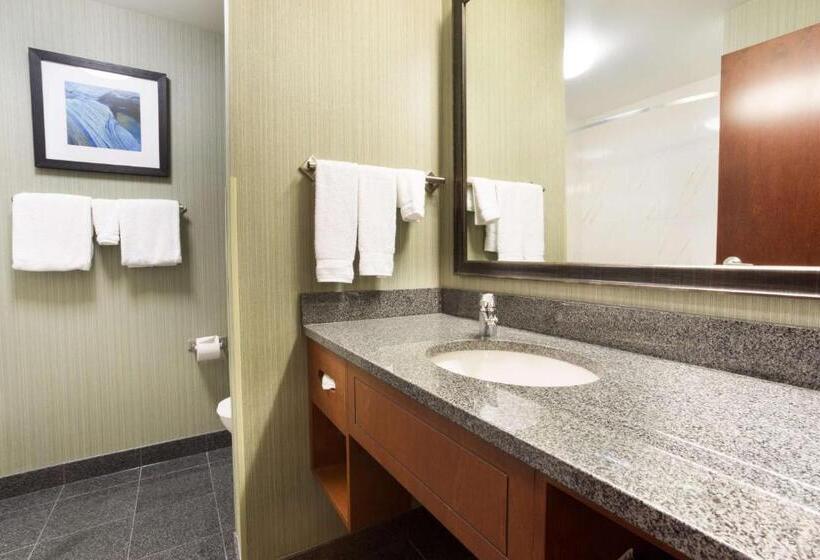 带大床的豪华间, Drury Inn & Suites Colorado Springs Near The Air Force Academy