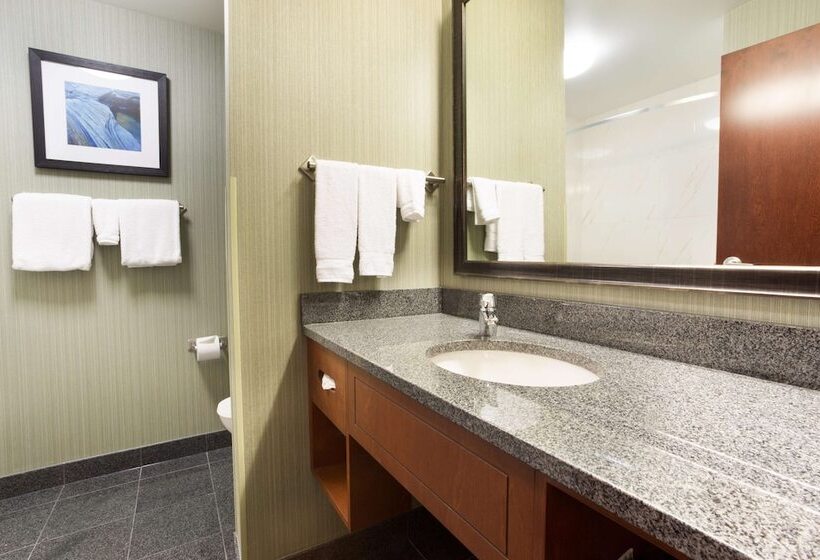 豪华房间, Drury Inn & Suites Colorado Springs Near The Air Force Academy