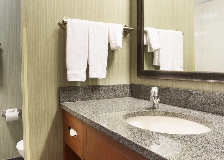 Номер Deluxe, Drury Inn & Suites Colorado Springs Near The Air Force Academy