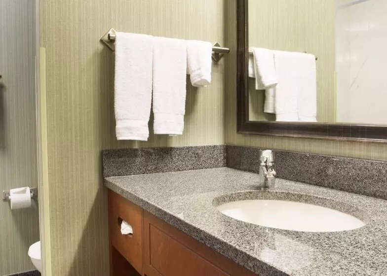 身障者適用スイートルーム, Drury Inn & Suites Colorado Springs Near The Air Force Academy