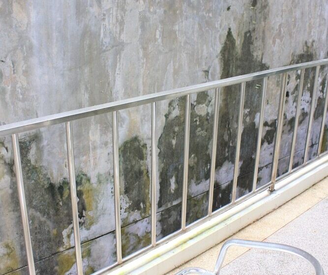 수피리어 룸, Kata Sea Host