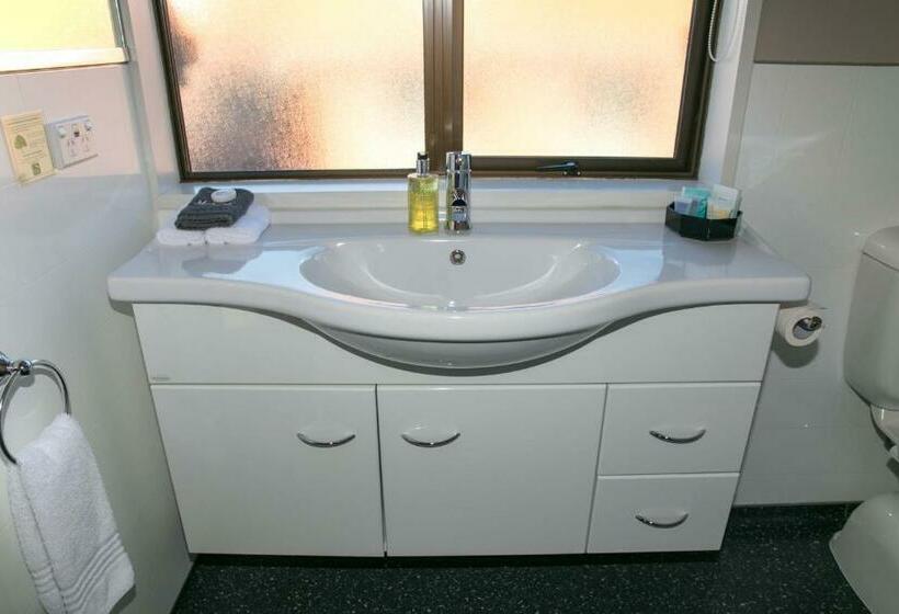 带1个卧室的豪华公寓, Allan Court Motel