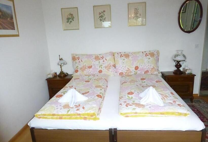 غرفة قياسية مزوَّدة بشُرفة, B&b Pappelweg  2