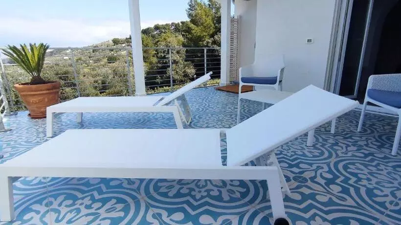 اتاق لوکس, B&b White House