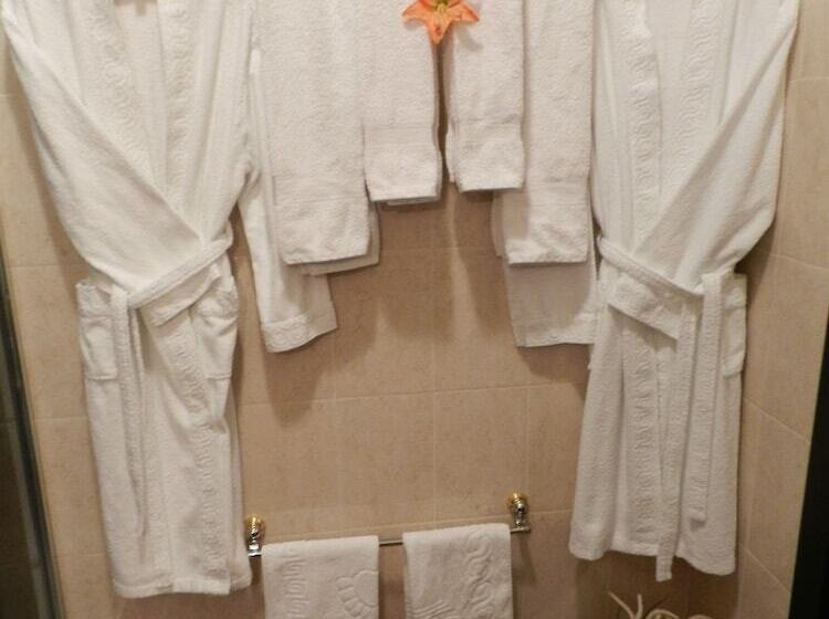 スタンダードルーム, Eliseeff Arbat