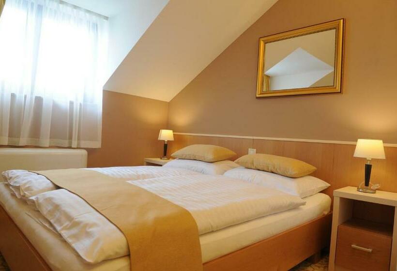 غرفة قياسية, Gallus