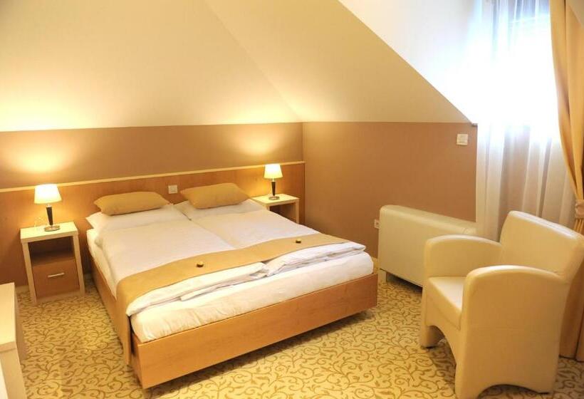 غرفة قياسية, Gallus