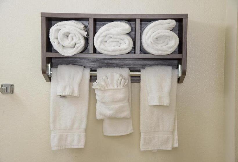 غرفه قياسيه سريرين مزدوجين, Pigeon River Inn