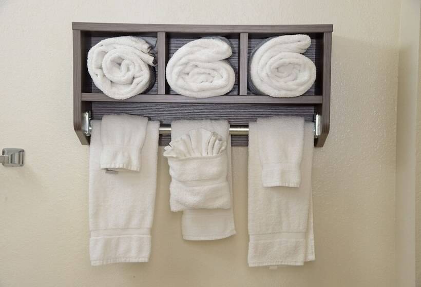 غرفه قياسيه سريرين مزدوجين, Pigeon River Inn