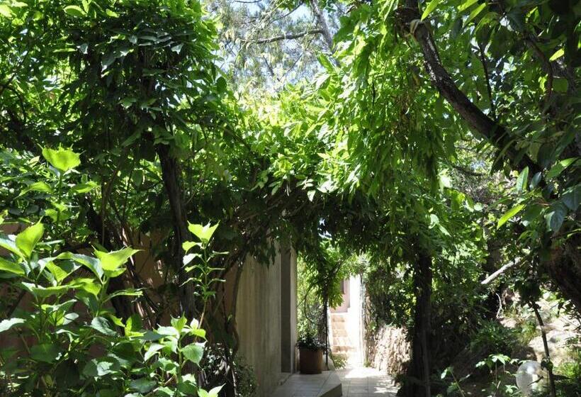 수피리어 자쿠지 룸, Private Hôtel Adult Only